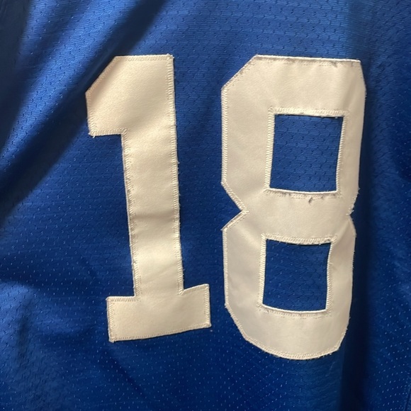 Peyton Manning Indianapolis Colts Jersey - Picture 2 of 5